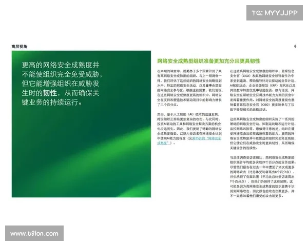 网络安全投资优先事项研究 传媒 网络安全投资优先事项研究 传媒